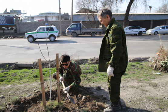 В Бишкеке появится еще одна аллея